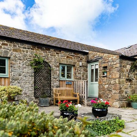 Cwm Connell Coastal Cottages Moylgrove Exterior photo